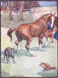 De merrie hief haar hoef op, illustratie voor Reinaert de Vos, uit Dierenlegenden uit vele landen, uitgegeven door Raphael Tuck & Sons Ltd.