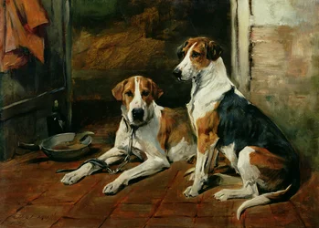 Honden in een stalinterieur