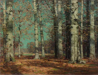 Herfstbeuken