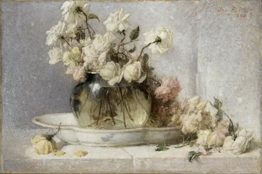 Rozen, 1898