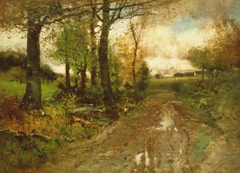 Weg door het bos