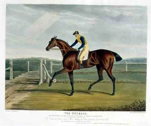 The Duchess, winnaar van de Great St. Leger in Doncaster