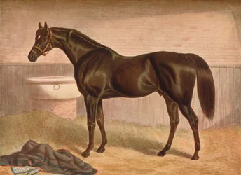 Gladiator, 19e eeuw, 1903
