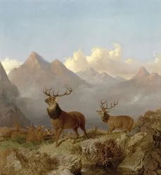 (detail)