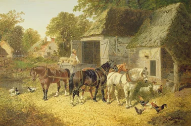 Paarden in Harnas