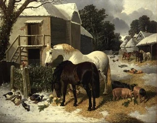 De boerderij in de winter