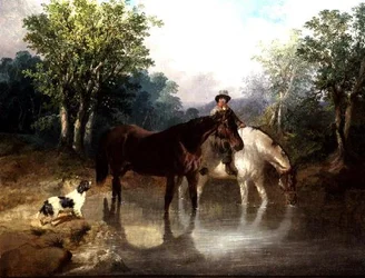 Twee paarden, een man en een hond bij een stroom