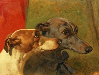 De windhonden 