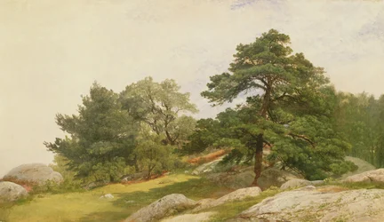 Studie voor Bomen aan de Beverly Kust