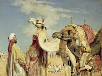 Groeten in de woestijn, Egypte