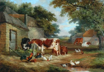 Boerenerf