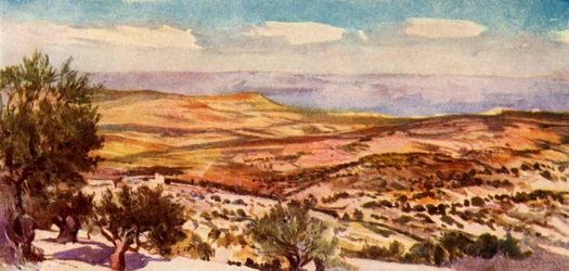 De velden van Ruth en Boaz nabij Bethlehem, 1902