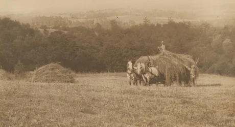 Loading Hay,1890-1900 (photo)