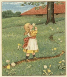 Paardenbloemzaden