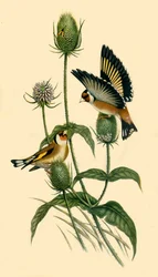 Puttertjes, 1863, 1942