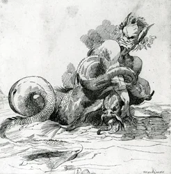 Illustratie van een Zeemonster, 18e Eeuw