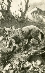Romulus en Remus verzorgd door de wolf