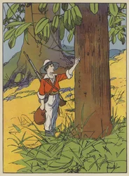 Illustratie voor Swiss Family Robinson