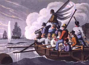 Het Afvuren van de Harpoen op een Walvis, gegraveerd door Matthew Dubourg, uitgegeven door Edward Orme