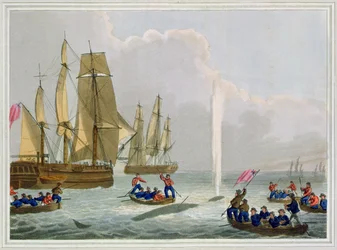 Boten naderen een walvis, gegraveerd door Matthew Dubourg, uitgegeven door Edward Orme, 1813