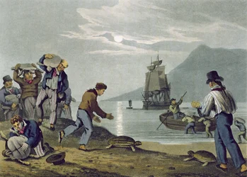 Schildpadden Vangen op Land, gegraveerd door Matthew Dubourg, gepubliceerd door Edward Orme, 1813