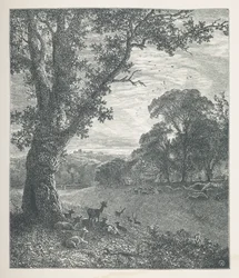 Plaat 3. Herten rond een boom. Nature Pictures. Een serie van dertig originele illustraties getekend op hout door J. H. Dell, en gegraveerd door R. Paterson