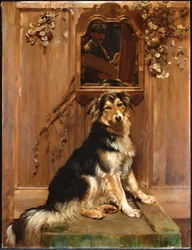 Een Hond en een Spiegel