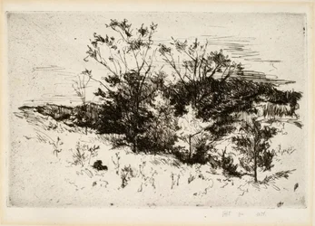 Landschap in de buurt van Cincinnati