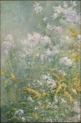 Weidebloemen (Guldenroede en Wilde Aster), c.1892