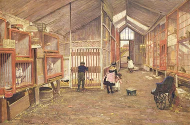 Aardbeientuinen
