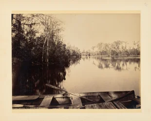 Silver Springs, Florida, stroomopwaarts gezien