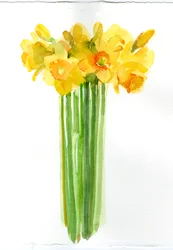 Narcissenbos, 2014
