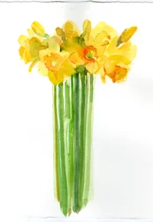 Narcissenbos, 2014