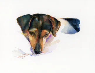 Scout portret, 2015