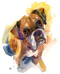 Stanley Portret