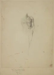 Cupido; Studie naar