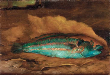 Studie van de papegaaivis, Samoa, 1890