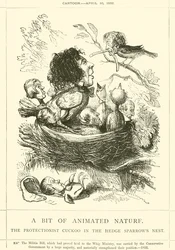 Een Stukje Geanimeerde Natuur, De Protectionistische Koekoek in het Heggenmussen Nest