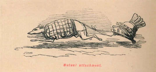 Wederzijdse gehechtheid, 1852