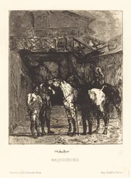 Paardenhandelaren