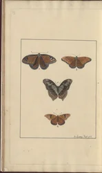 Lindsay Tekeningen Vol. VI, 29