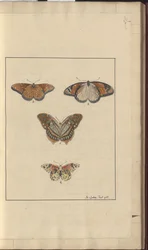 Lindsay Tekeningen Deel VI, 30