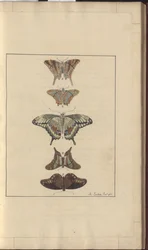 Lindsay Tekeningen Deel VI, 32