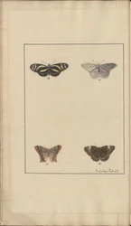 Lindsay Tekeningen Vol. VI, 35