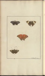 Lindsay Tekeningen Vol. VI, 41