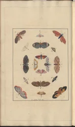 Lindsay Tekeningen Vol. VI, 63