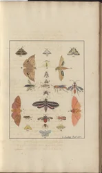 Lindsay Tekeningen Vol. VI, 68