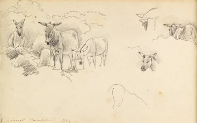 Ezel, 1824