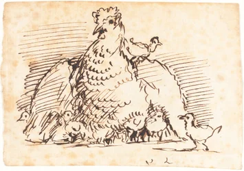 Kippen en Kuikens