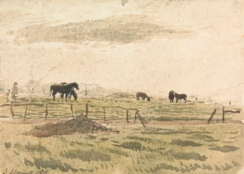 Paarden in een paddock